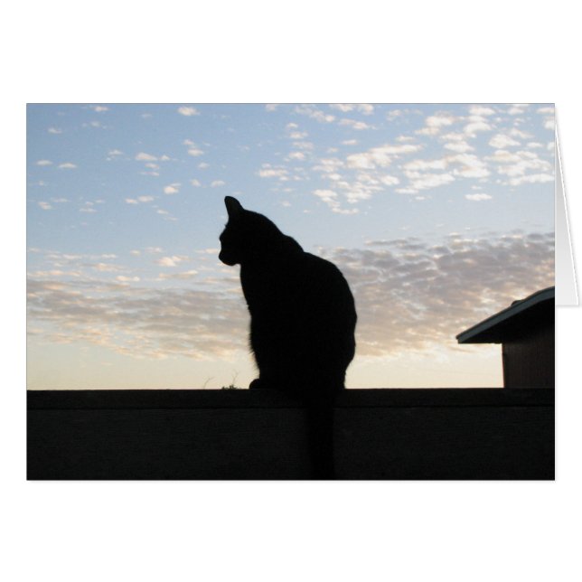 Härlig kattsilhouette på solnedgången OBS kort (Framsidan Horizontal)