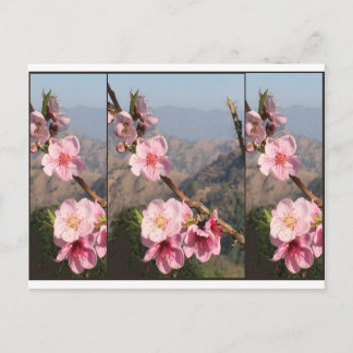 Härlig koloni för blommaIndien UttraKHAND frukt Vykort