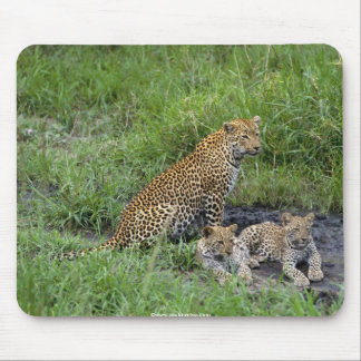 härlig leopardsunge musmatta