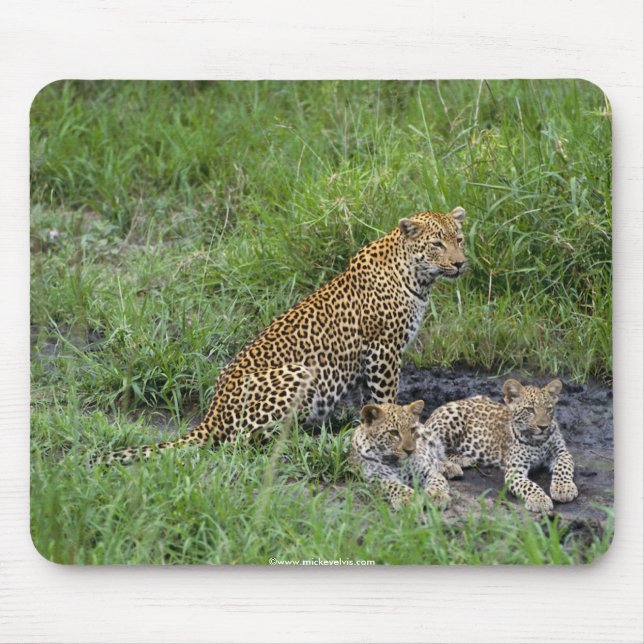 härlig leopardsunge musmatta (Framsidan)