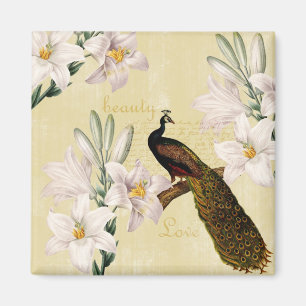 Härlig liljapåfågel magnet