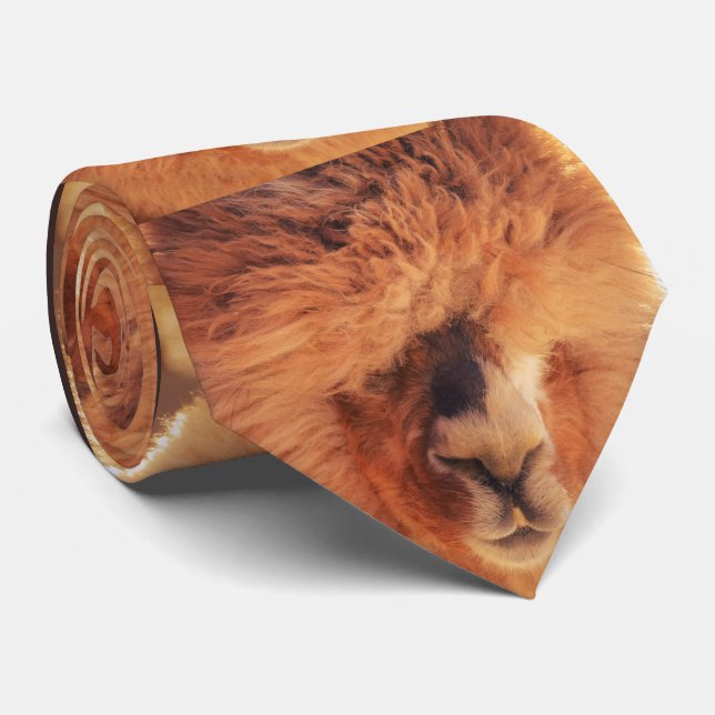 Härlig LlamaAlpaca Slips (Rullad)