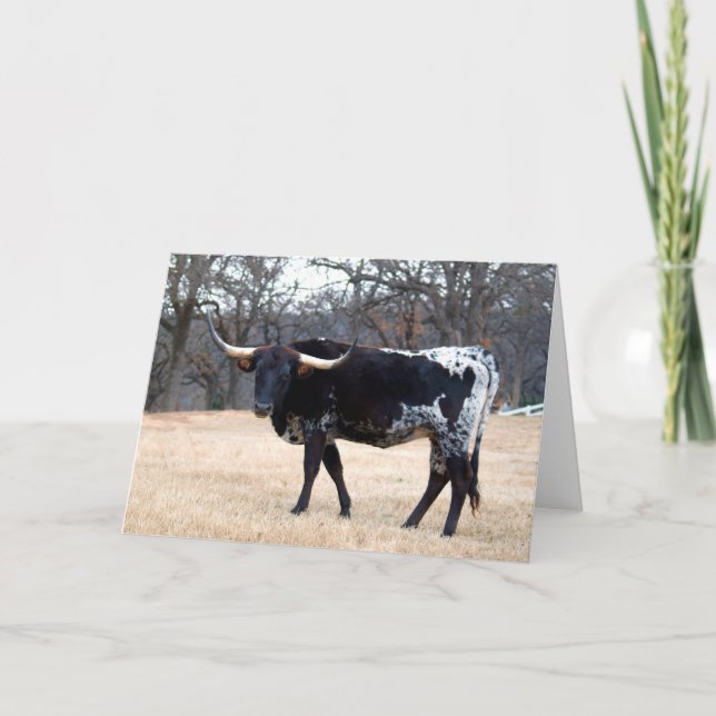 Härlig Longhorn Kort (Framsida)