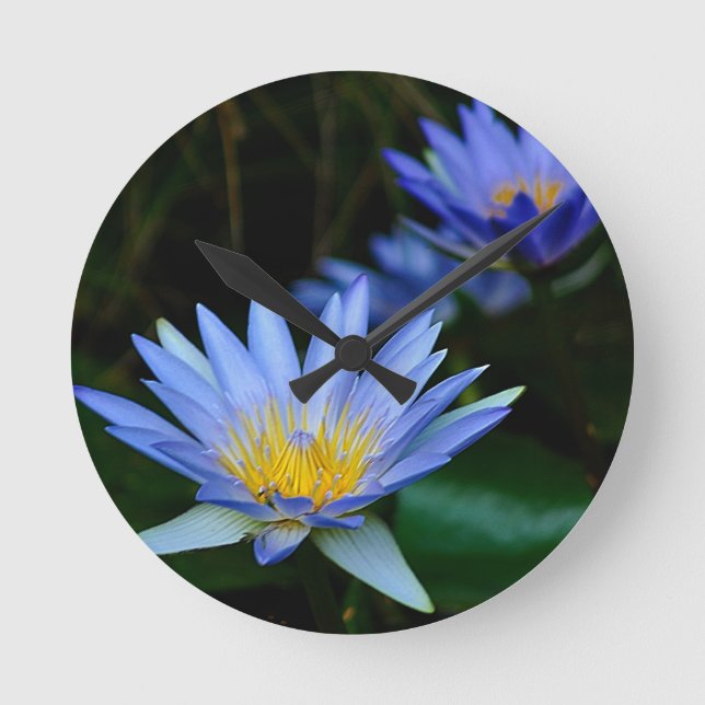 Härlig lotusblommablommor och menande rund klocka (Framsida)