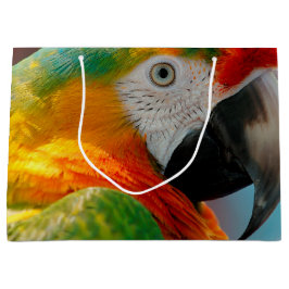 Härlig Macaw