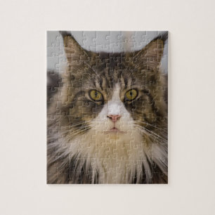 Härlig maine coon pussel