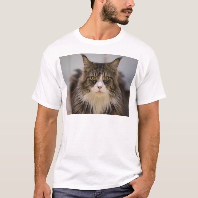 Härlig maine coon t shirt (Framsida)