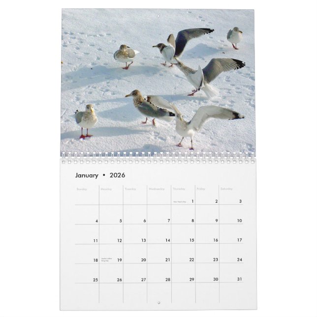 Härlig Maine kusten Kalender (Jan 2026)