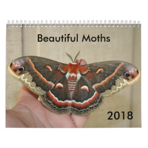 Härlig malkalender 2018 kalender