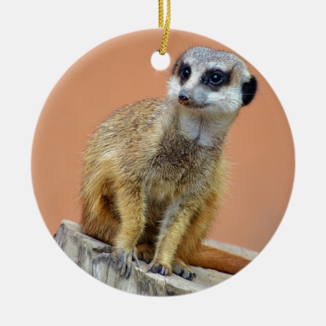 Härlig meerkat julgransprydnad keramik (Framsidan)