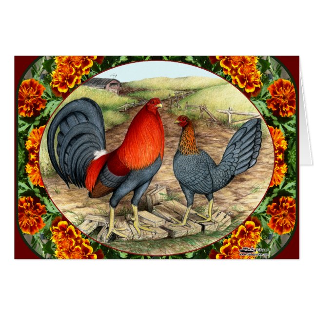 Härlig modig fågel OBS kort (Framsidan Horizontal)