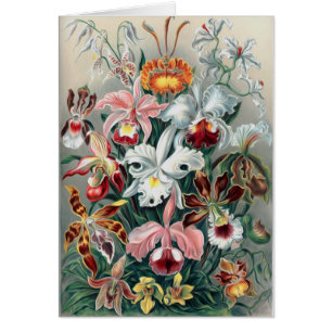 Härlig natur - Orchids Hälsningskort