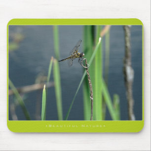Härlig natur: Slända Musmatta