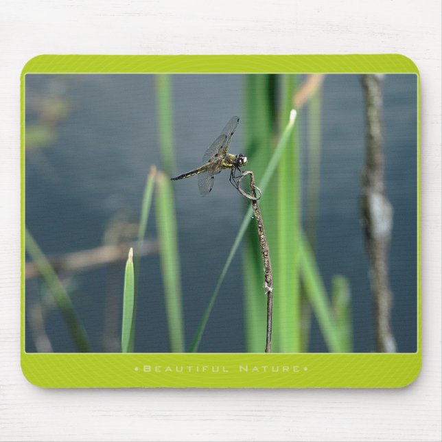Härlig natur: Slända Musmatta (Framsidan)