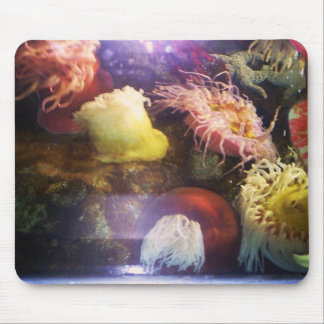 Härlig och färgrik mjuk korallmousepad musmatta
