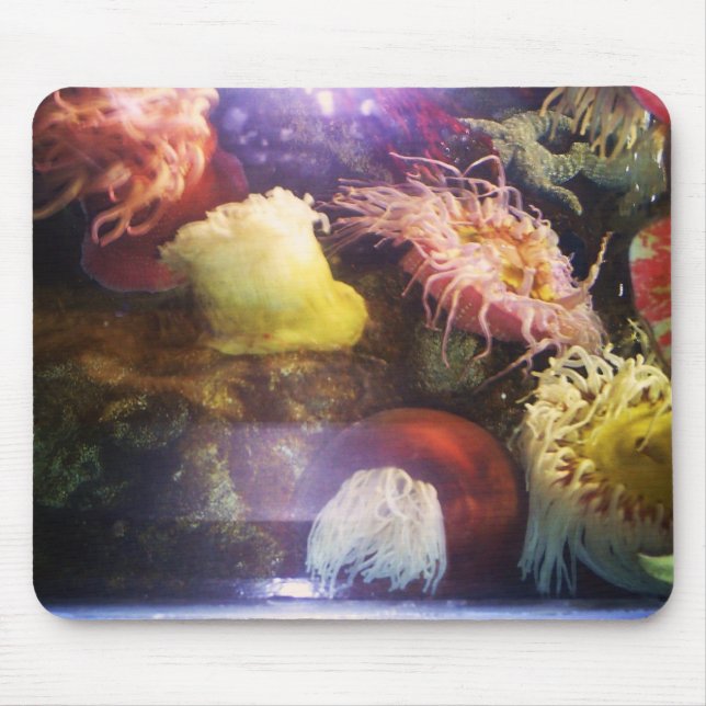 Härlig och färgrik mjuk korallmousepad musmatta (Framsidan)