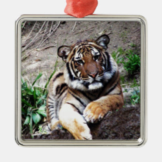 Härlig och majestätisk Bengal tigeranpassningsbar Julgransprydnad Metall