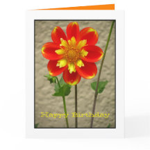 Härlig orangegultblomma