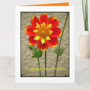 Härlig orangegultblomma kort