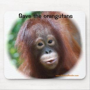 Härlig Orangutanbebis Musmatta