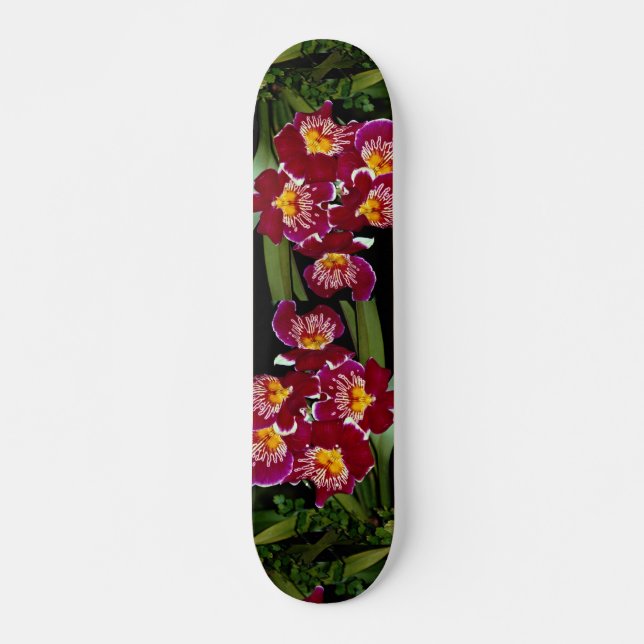 Härlig Orchid, hybrid- miltonia Skateboard Bräda 21,5 Cm (Framsida)