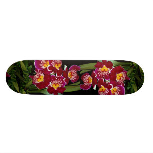 Härlig Orchid, hybrid- miltonia Skateboard Bräda 21,5 Cm