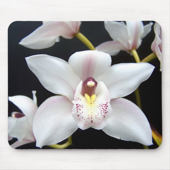 Härlig Orchid Musmatta (Framsidan)