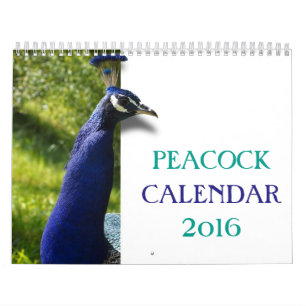 Härlig påfågel 2016 kalender