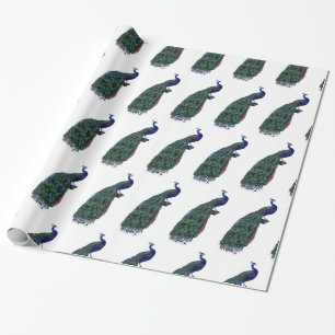 Härlig påfågel presentpapper
