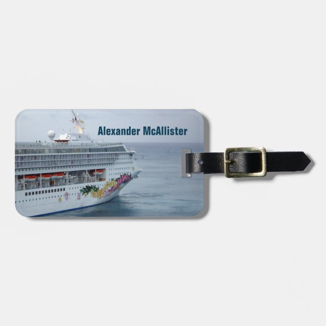 Härlig pilbågeanpassningsbar bagagebricka (Horisontell Framsida)