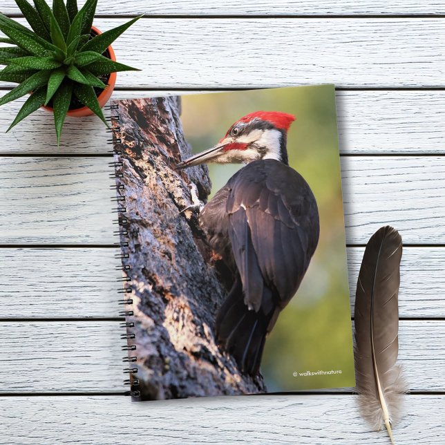 Härlig Pileated hackspett på träd Anteckningsbok (Pileated Woodpecker on the Tree Journal Cover Photo)
