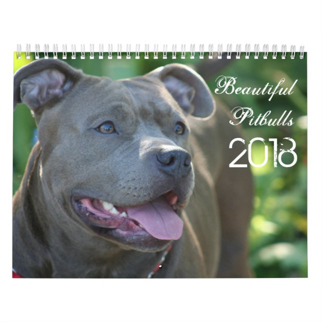 Härlig Pitbulls 2018 hundkalender Kalender (Omslag)