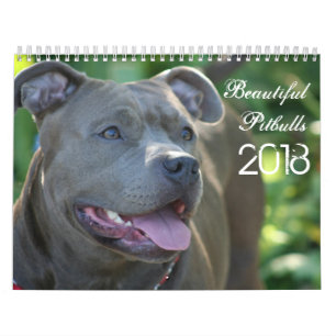 Härlig Pitbulls 2018 hundkalender Kalender