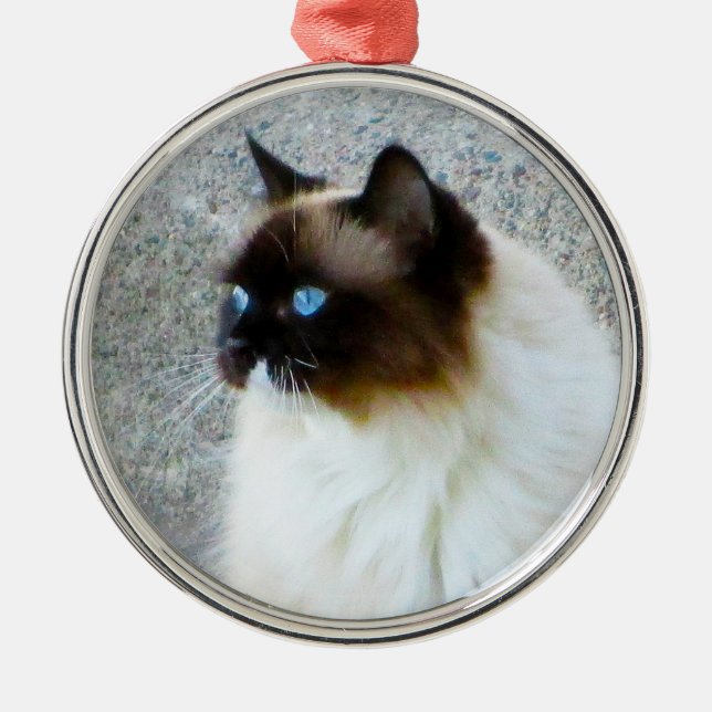 Härlig Ragdoll Birman Himalayan katt Julgransprydnad Metall (Framsidan)