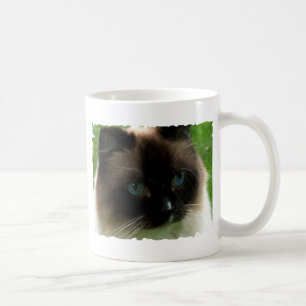 Härlig Ragdoll kattmugg Kaffemugg