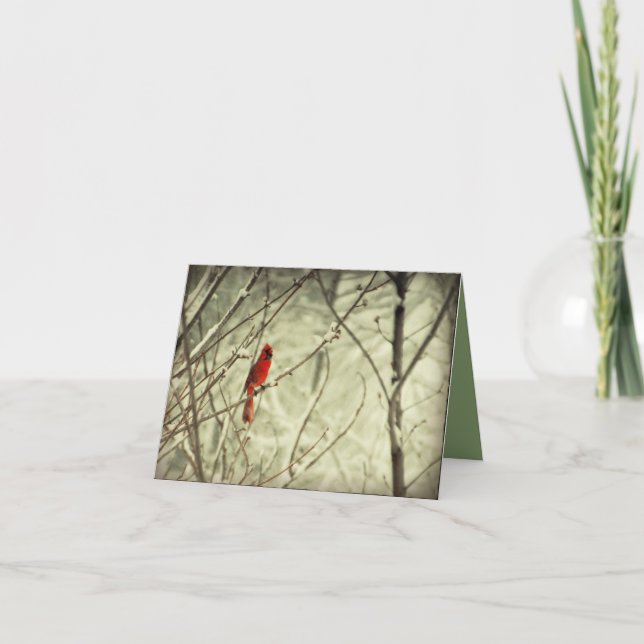 Härlig röd nordlig huvudsaklig fågel kort (Framsida)