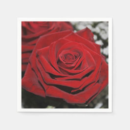 Härlig röd ros pappersservett
