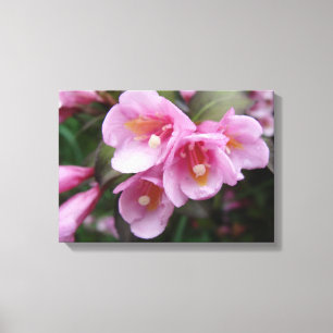 Härlig rosa blom- kanvastryck
