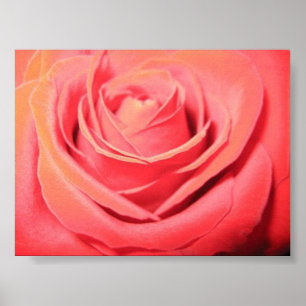 Härlig rosa kanfas poster