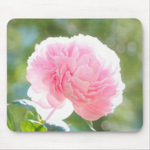 Härlig rosa pionblomma i solljus musmatta
