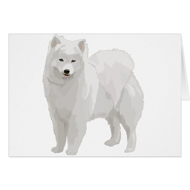 Härlig Samoyed Hälsningskort (Framsidan Horizontal)