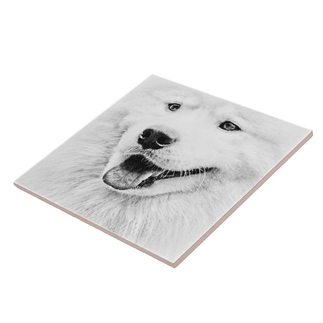 Härlig Samoyedhundkonst Kakelplatta (Sidan)