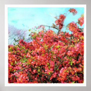 Härlig sång, affisch