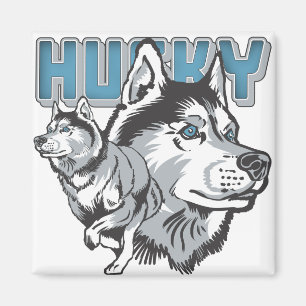 Härlig siberian husky magnet