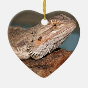 Härlig skäggig drake julgransprydnad keramik