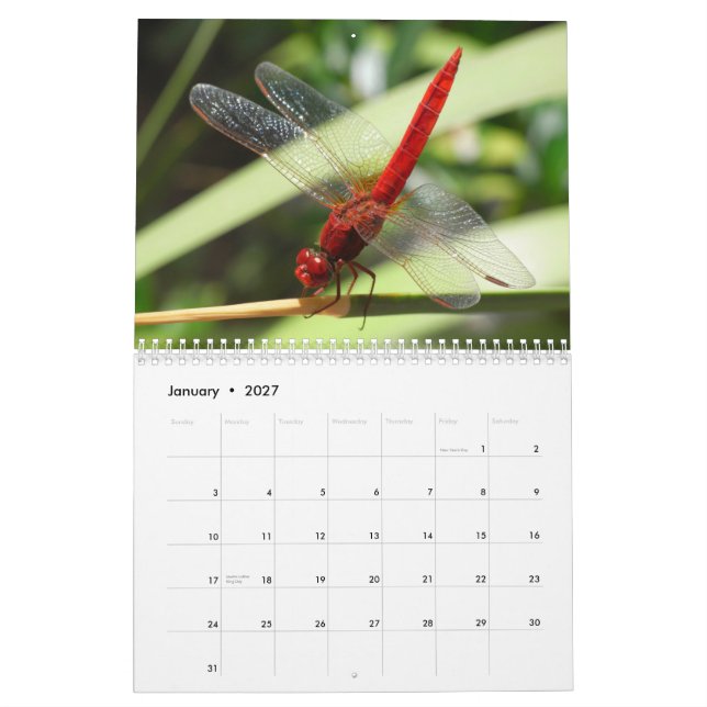 Härlig sländakalender kalender (Jan 2027)