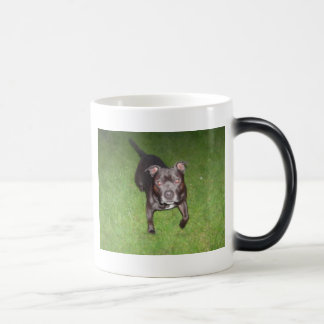 Härlig tjur-terrier magisk mugg