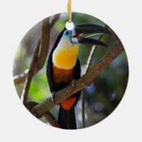 Härlig toucan fågel i ett trädnaturlandskap