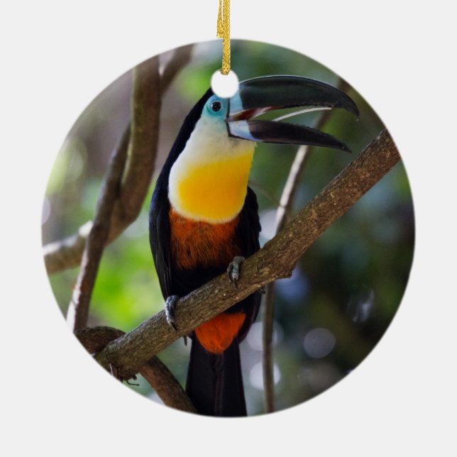 Härlig toucan fågel i ett trädnaturlandskap julgransprydnad keramik (Baksidan)