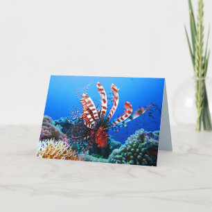Härlig tropisk Lionfish Kort